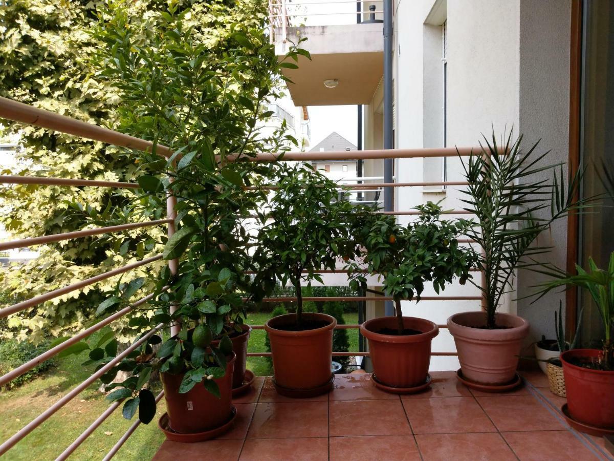 Mandarin Wellness Apartman 希欧福克 外观 照片